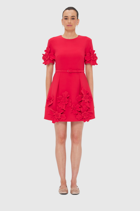 Aurelie Floral Applique Mini Dress