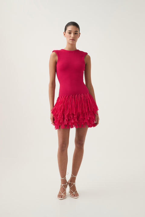 Rushes Fringe Knit Mini Dress