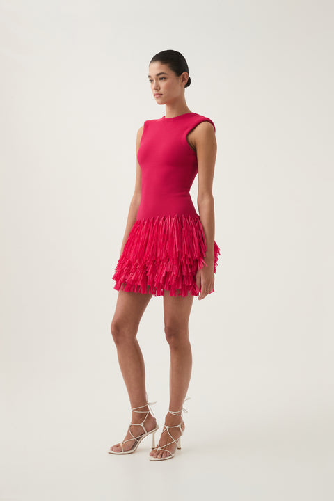 Rushes Fringe Knit Mini Dress