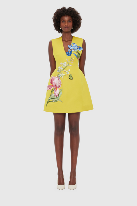 Bree V Neck Embroidery Mini Dress