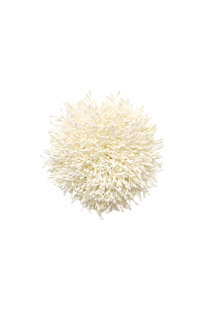 An off-white brooch inspired by the petals of an anemone.