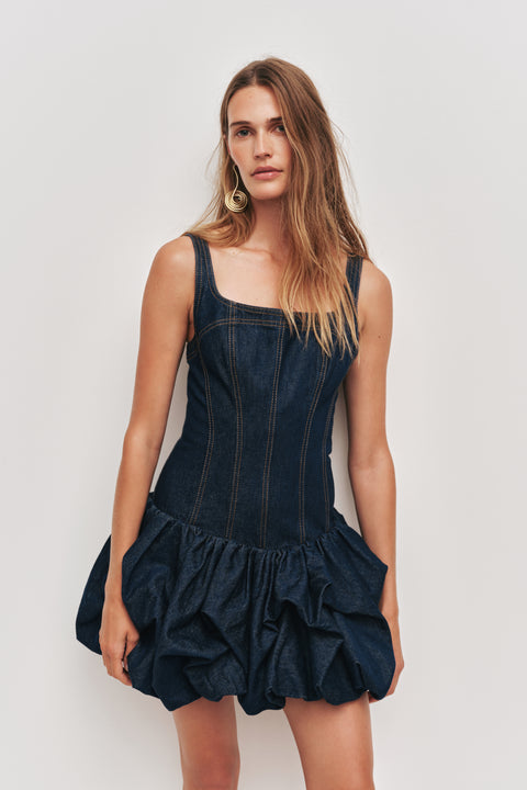 Briar Denim Mini Dress