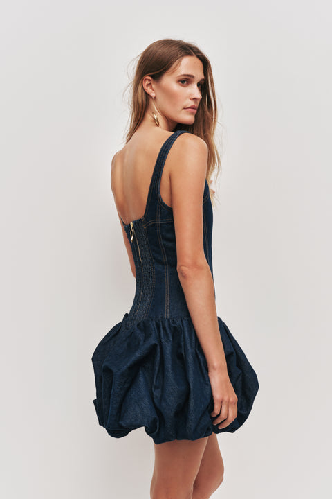 Briar Denim Mini Dress