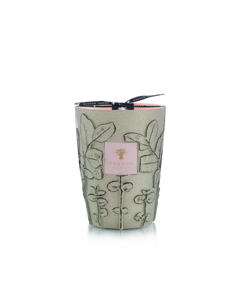 Folia Maquis Candle Max 24