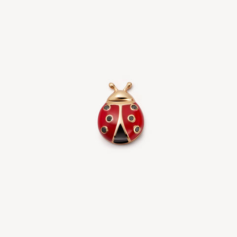 Ladybird Charm