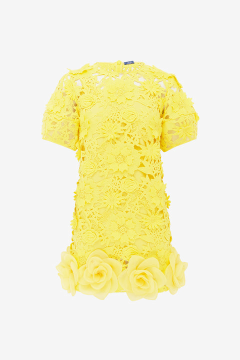 Maggie Lace Mini Dress