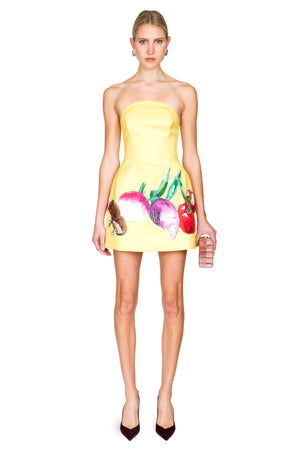 Zaria Bustier Mini Dress