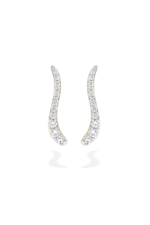 Pair Of Ray Earrings