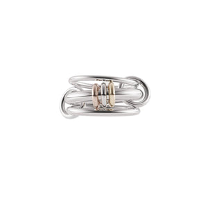 Close-up image of the Gemini Sg ring.