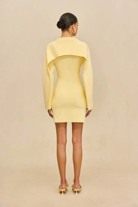 Woman wearing a yellow dress against a beige background from the back.