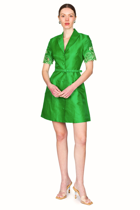 Brigitte Applique Mini Dress