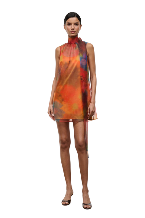 Albee Mini Dress Superbloom