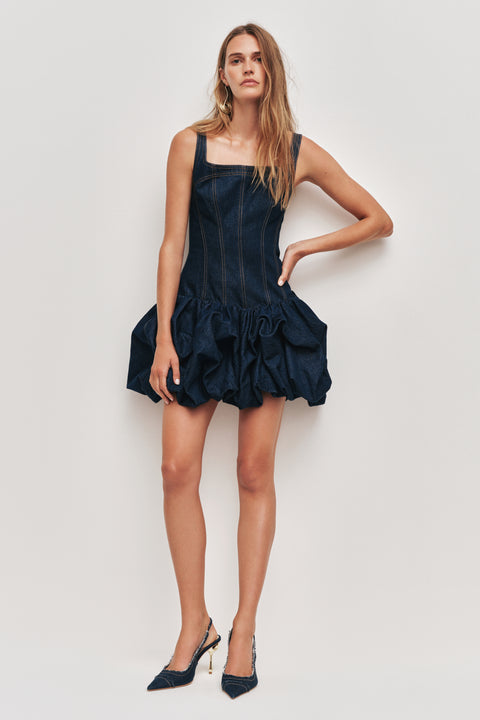 Briar Denim Mini Dress
