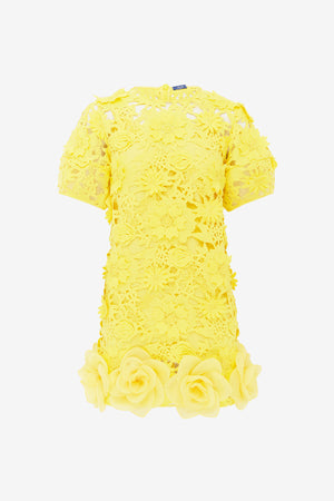 Maggie Lace Mini Dress